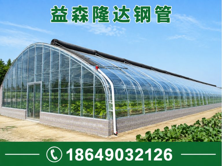 河东区日光温室大棚，连栋温室大棚，单体大棚，塑料大棚，育苗大棚，养殖大棚展示图